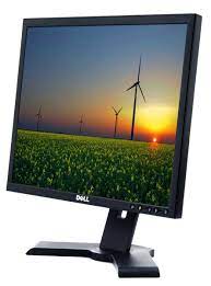 Monitor Dell E190Sb Used Good 19''