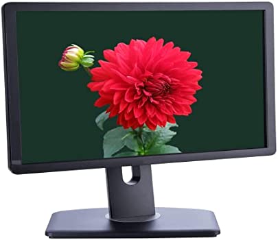 Monitor Dell P1913t Used C 19''